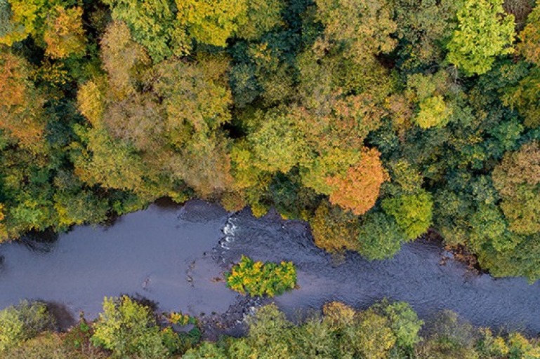 Naturräume schaffen teaser