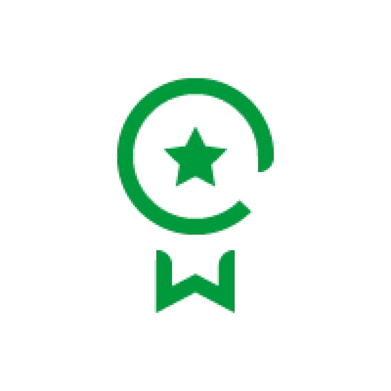 VW Icon top employer green RGB