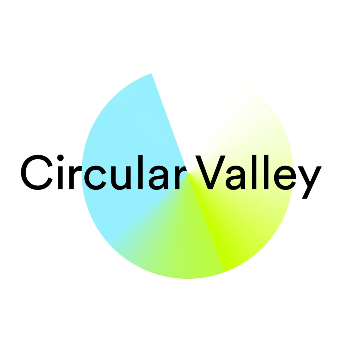 Circular Valley Logo